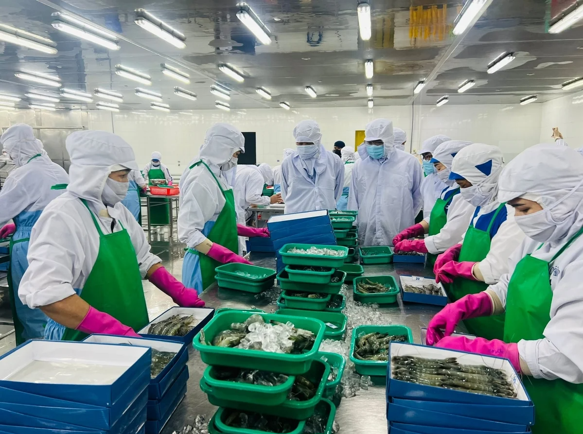 Ca Mau's seafood exports exceed US$ 1.3 bln
